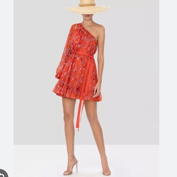 Alexis Dresses & Skirts - Revolve Alexis Edyta floral print one-shoulder mini dress